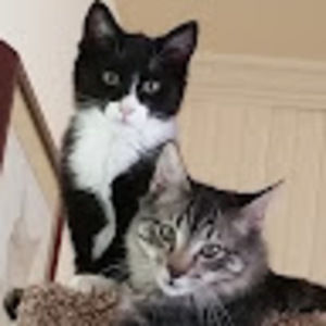 Meet your Posher, Julie